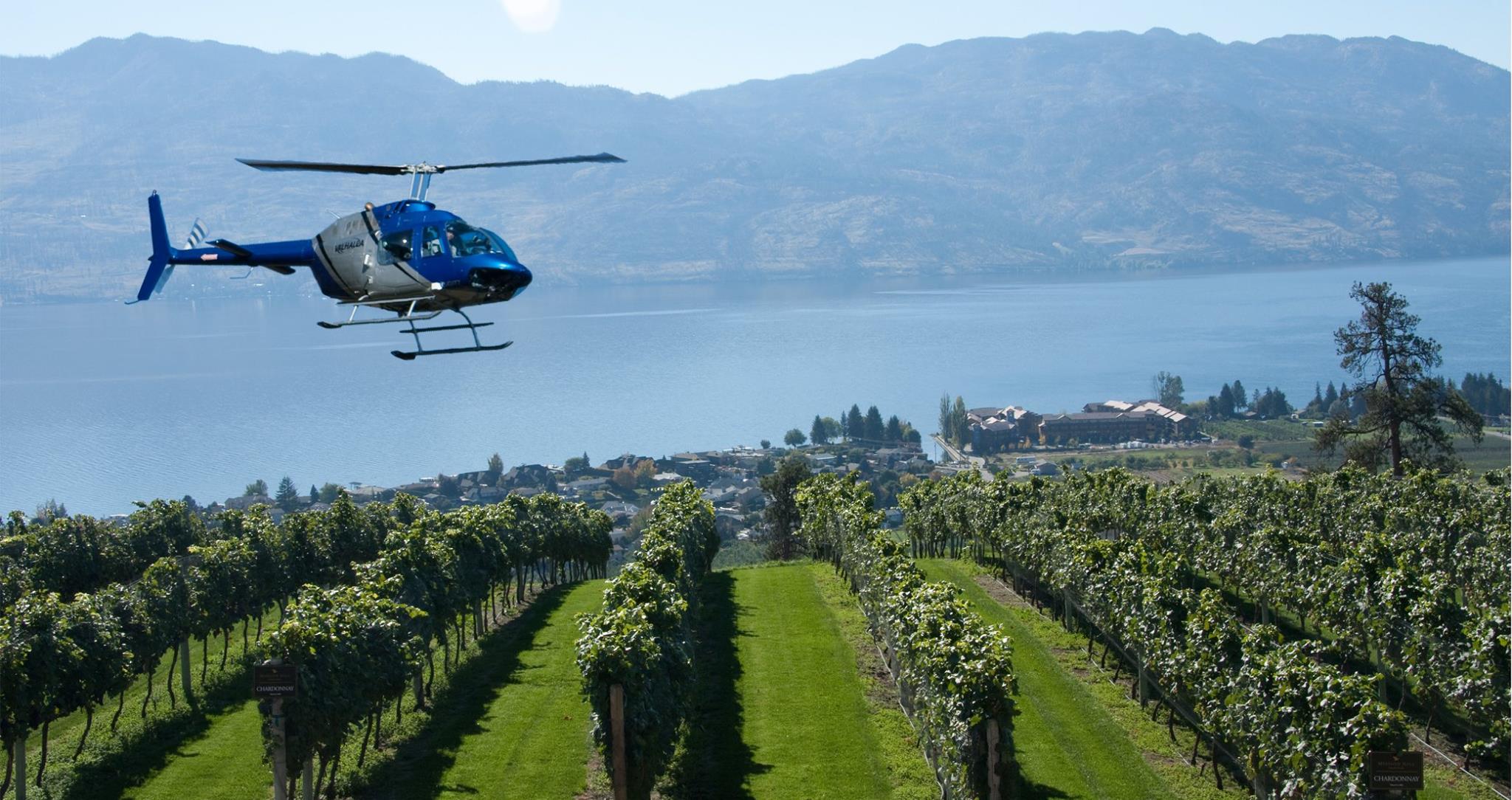 Valhalla helicopter hovers over Naramata Vineyard