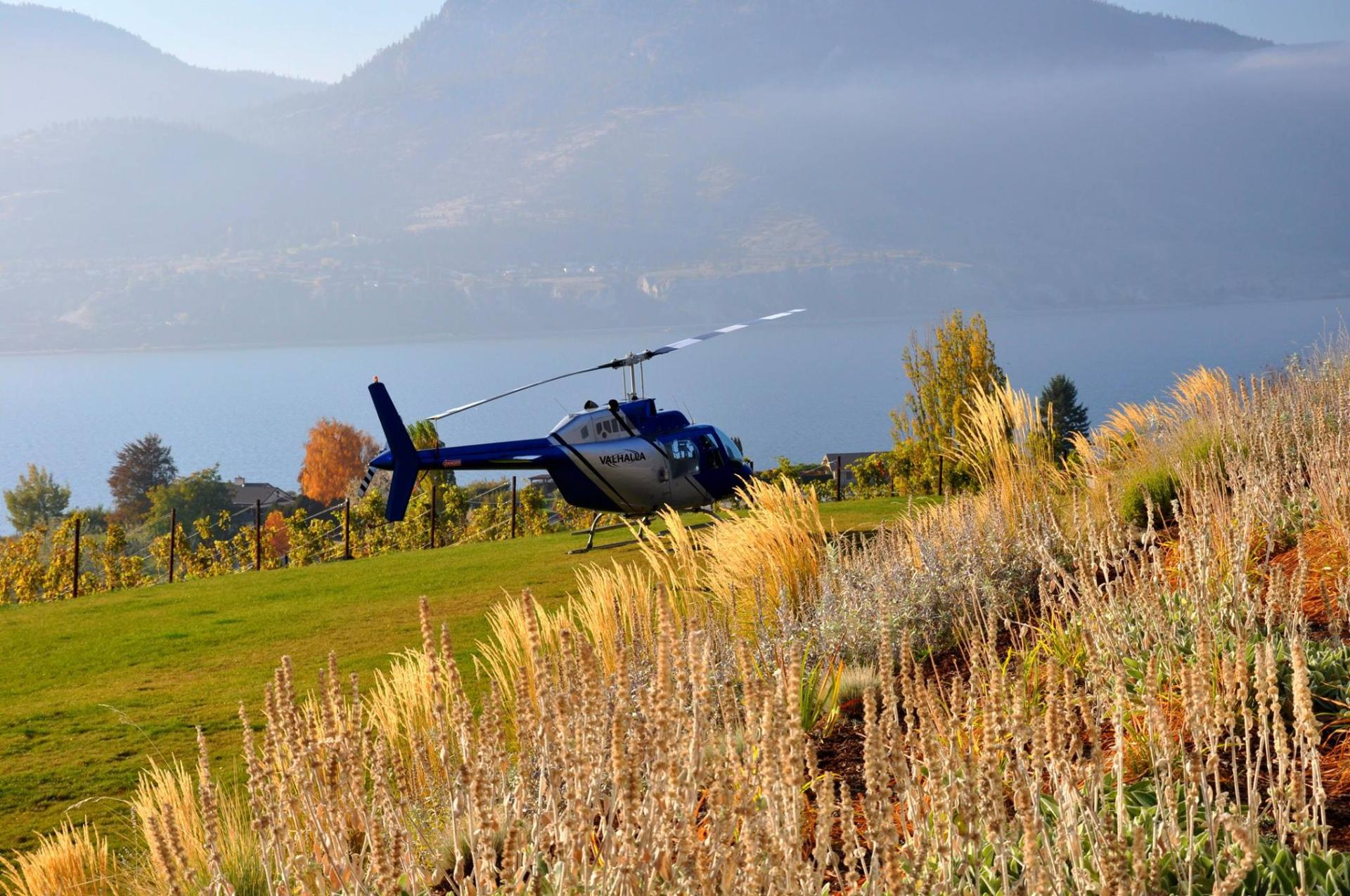 Find Okanagan Fall Colours from the Sky