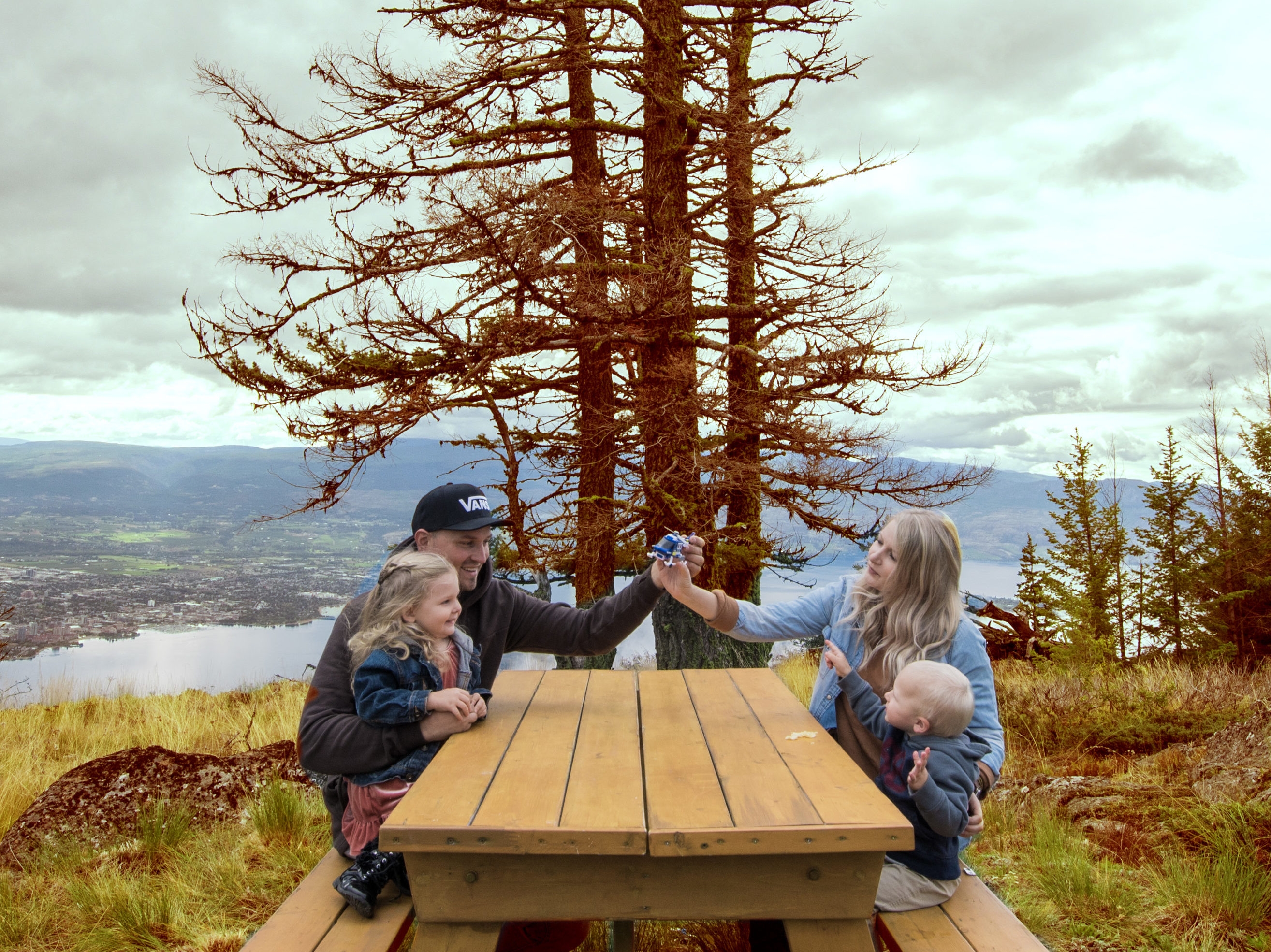 Kelowna's Best Picnic Valhalla Helicopters